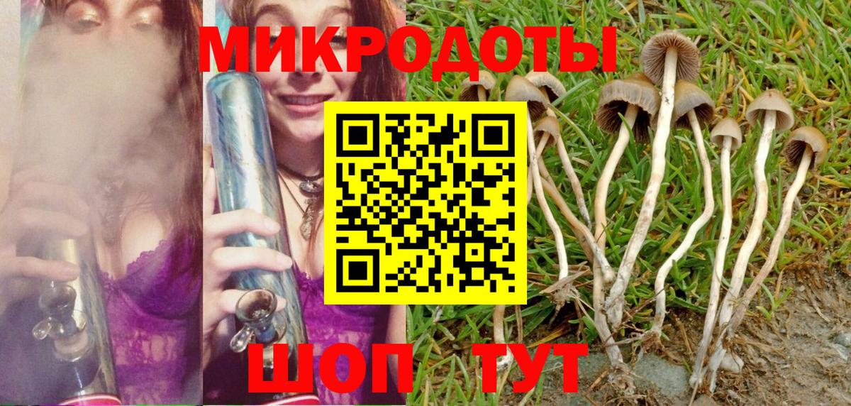 Ярцево  Псилоцибиновые грибы мицелий  Галлюциногенные грибы прущие грибы  Вход с VPN 